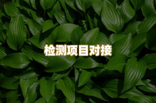 技术文件辅导