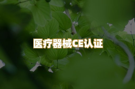医疗器械CE认证